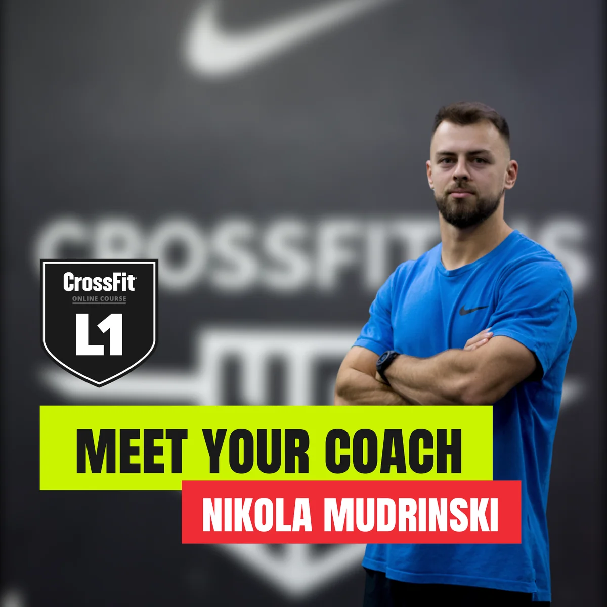 Nikola Mudrinski